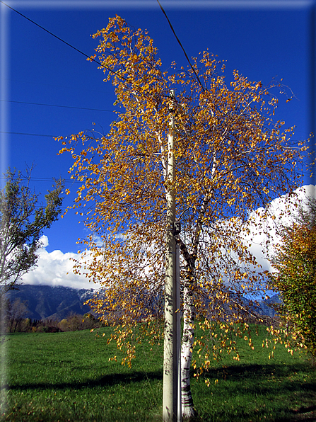 foto Colli Asolani in Autunno